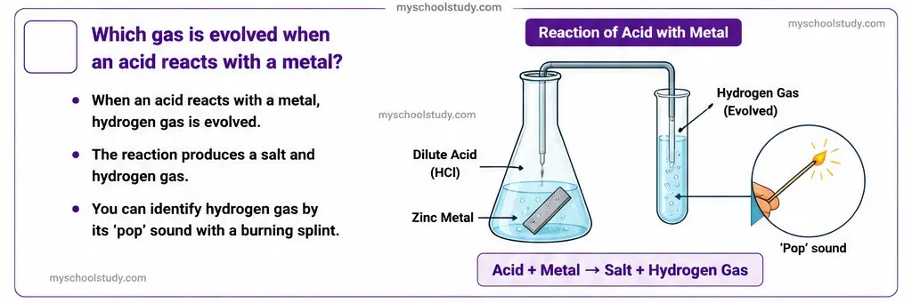 Quiz Class 10th Science 10-05-2026 10.10.1 class 10th science ncert myschoolstudy.com