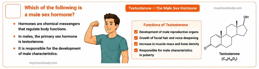 Quiz Class 10th Science 10-05-2026 10.10.5 class 10th science ncert myschoolstudy.com