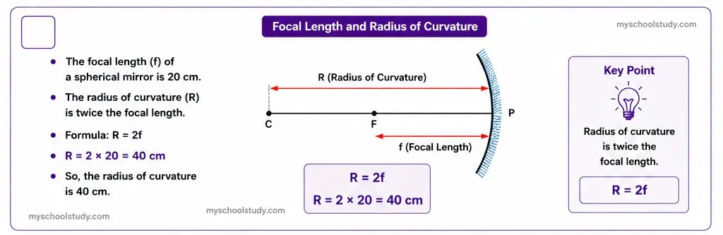10.11.1 class 10th science ncert solution myschoolstudy.com
