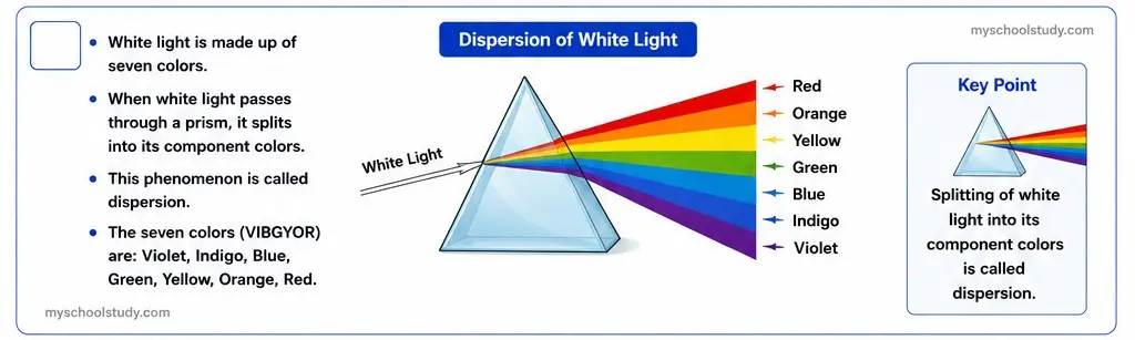 10.11.2 class 10th science ncert solution myschoolstudy.com