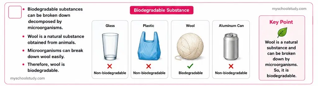 10.11.4 class 10th science ncert solution myschoolstudy.com