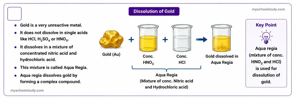 10.12.1 class 10th science ncert solution myschoolstudy.com