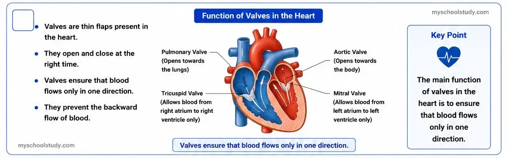 10.12.2 class 10th science ncert solution myschoolstudy.com