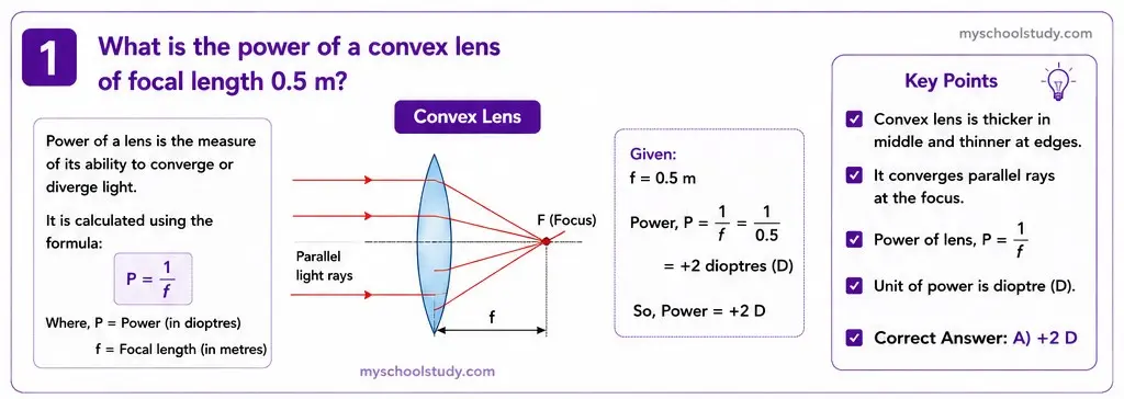 Quiz Class 10th Science 13-05-2026 10.13.1 class 10th science myschoolstudy.com ncert solution
