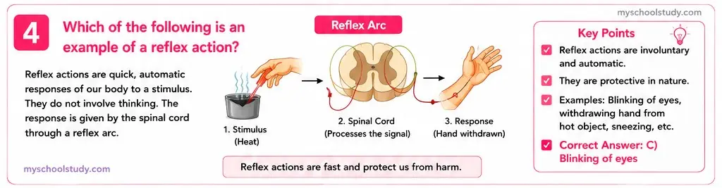 Quiz Class 10th Science 13-05-2026 10.13.4 class 10th science myschoolstudy.com ncert solution