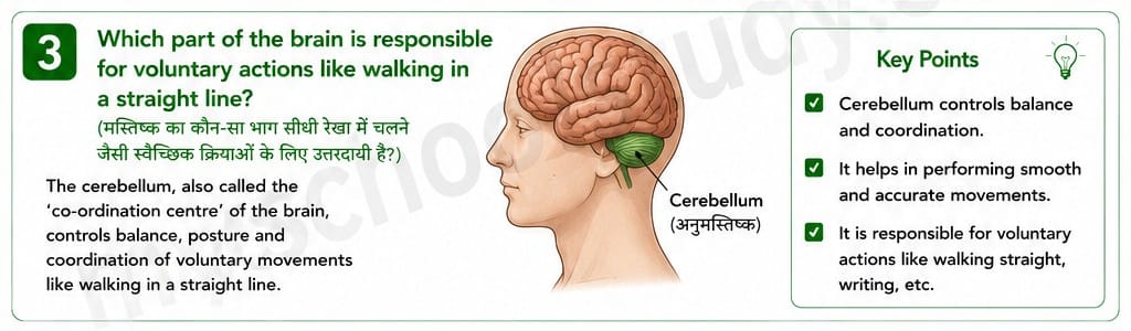 Quiz Class 10th Science 14-05-2026 10.14.3 class 10th science ncert myschoolstudy.com