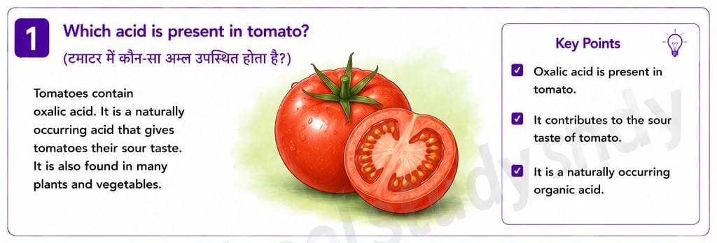 Quiz Of Class 10th Science 15-05-2026 10.15.1 class 10th science ncert myschoolstudy.com