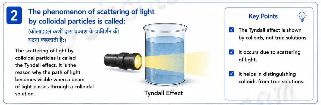 Quiz Of Class 10th Science 15-05-2026 10.15.2 class 10th science ncert myschoolstudy.com