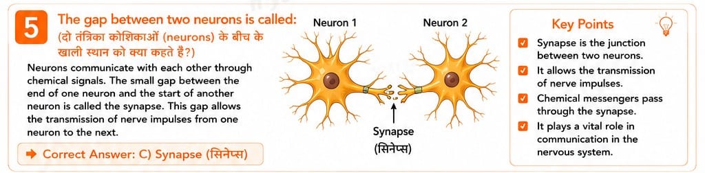 10.16.5 class 10th science myschoolstudy.com