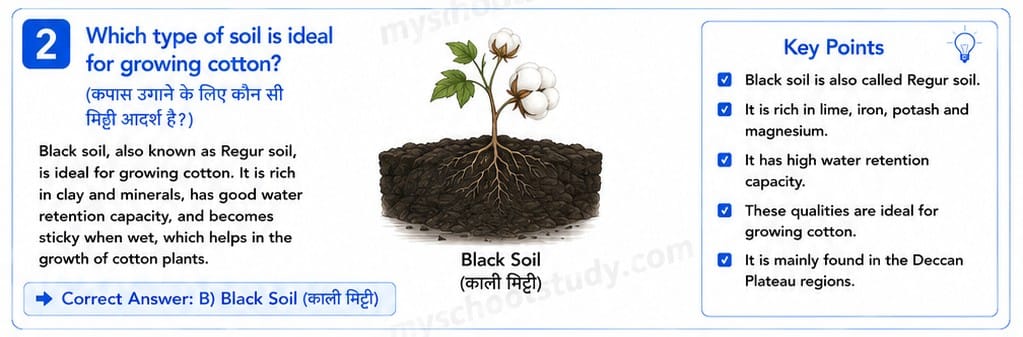 10.17.2 class 10 so. science ncert solution myschoolstudy.com