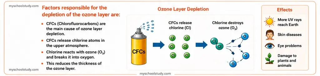 10.9.5 myschoolstudy.com science class 10th ncert