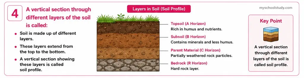 Quiz Class 7th Science 11-05-2026 7.11.4 class 7th science myschoolstudy.com ncert solution