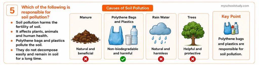 Quiz Class 7th Science 11-05-2026 7.11.5 class 7th science myschoolstudy.com ncert solution