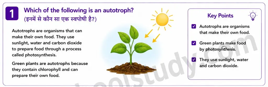 Quiz Class 7th Science 13-05-2026 7.13.1 class 7th science ncert myschoolstudy.com