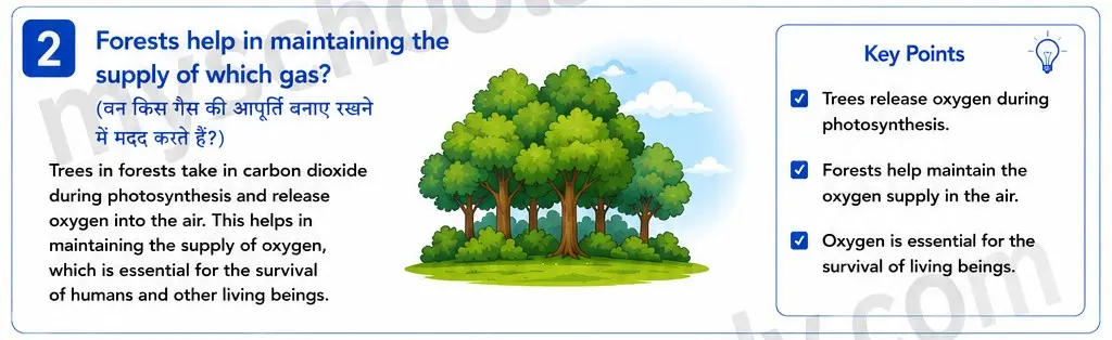 Quiz Class 7th Science 13-05-2026 7.13.2 class 7th science ncert myschoolstudy.com