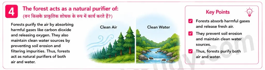 Quiz Class 7th Science 13-05-2026 7.13.4 class 7th science ncert myschoolstudy.com