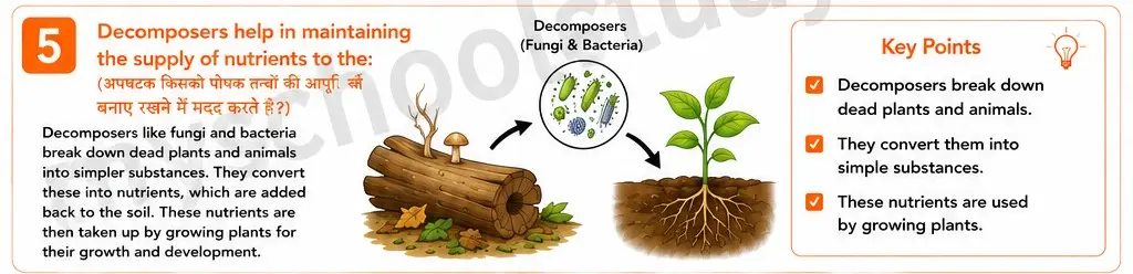 Quiz Class 7th Science 13-05-2026 7.13.5 class 7th science ncert myschoolstudy.com