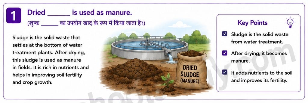 Quiz Class 7th Science 14-05-2026 7.14.1 class 7th science ncert myschoolstudy.com