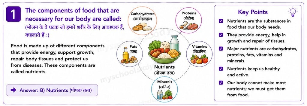 Quiz Class 7th Science 16-05-2026 7.16.1 class 7th science myschoolstudy.com