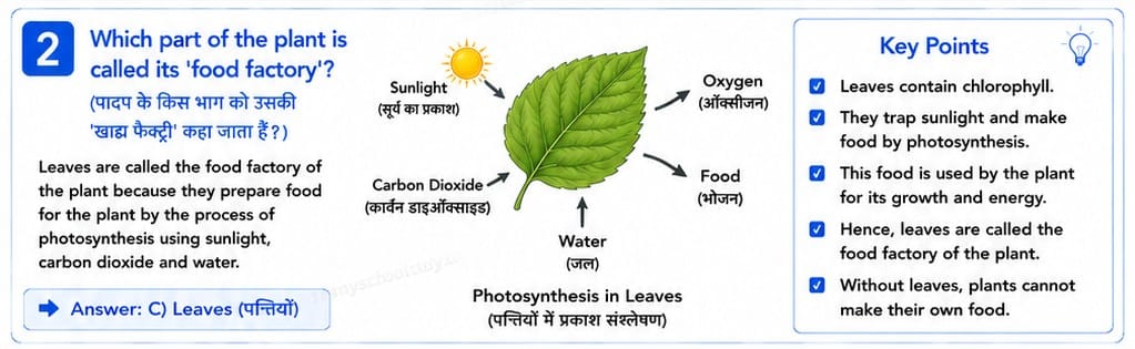 Quiz Class 7th Science 16-05-2026 7.16.2 class 7th science myschoolstudy.com