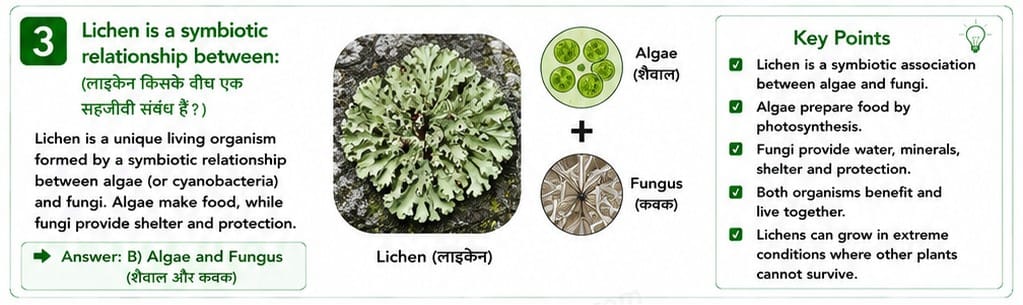 Quiz Class 7th Science 16-05-2026 7.16.3 class 7th science myschoolstudy.com