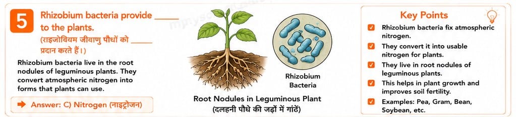 Quiz Class 7th Science 16-05-2026 7.16.5 class 7th science myschoolstudy.com