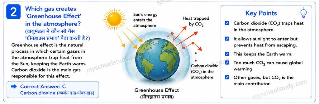 Class 7th Social Science Quiz Of NCERT with MCQs 7.18.2 class 7th so. science myschoolstudy.com
