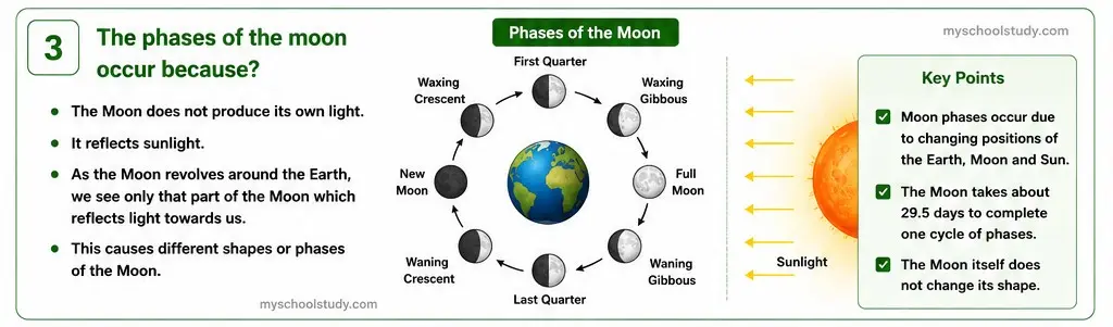 Quiz Class 8th Science 10-05-2026 8.10.3 class 8th science myschoolstudy.com ncert solution