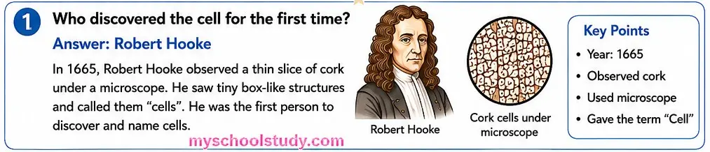 8.12.1 class 8th science ncert myschoolstudy.com