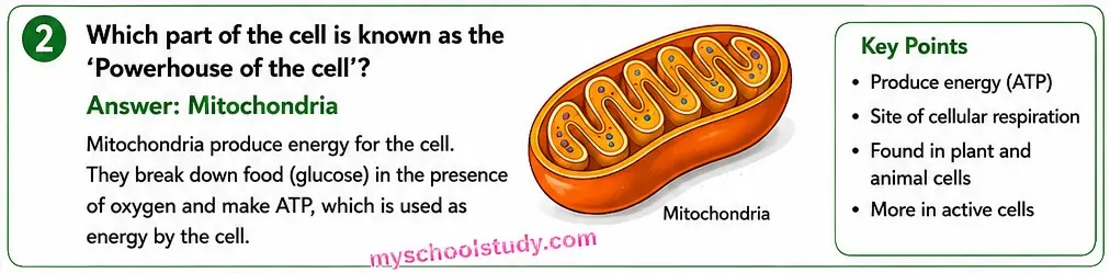 8.12.2 class 8th science ncert myschoolstudy.com