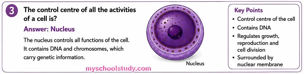 8.12.3 class 8th science ncert myschoolstudy.com