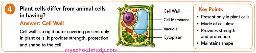 8.12.4 class 8th science ncert myschoolstudy.com