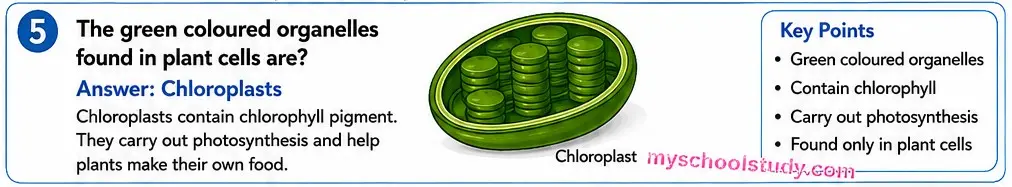 8.12.5 class 8th science ncert myschoolstudy.com