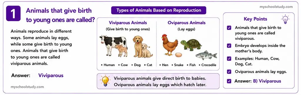 Quiz Class 8th Science 13-05-2026 8.13.1. class 8th science myschoolstudy.com ncert solution