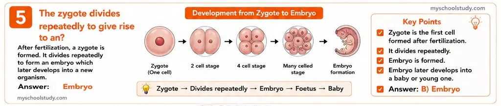 Quiz Class 8th Science 13-05-2026 8.13.5 class 8th science myschoolstudy.com ncert solution