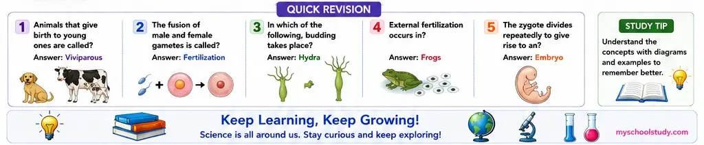 Quiz Class 8th Science 13-05-2026 8.13.6 class 8th science myschoolstudy.com ncert solution