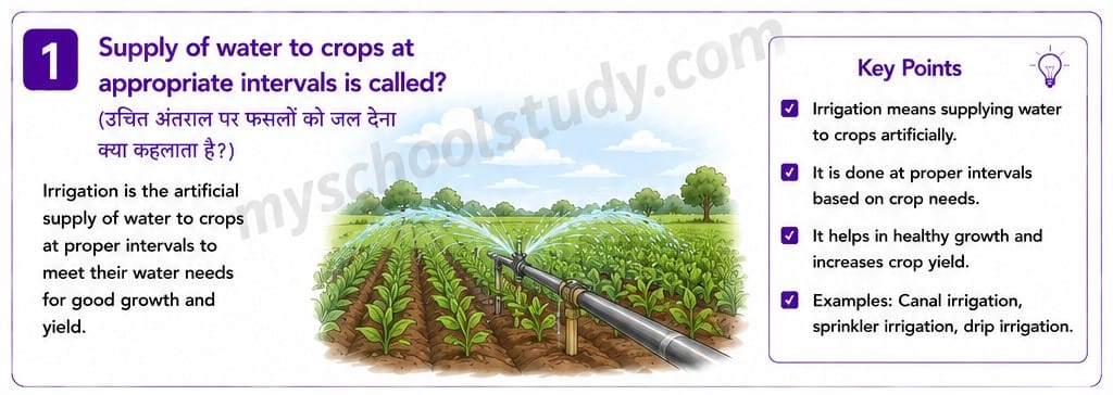 8.14.1 class 8th science ncert myschoolstudy.com