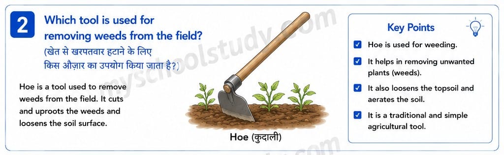 8.14.2 class 8th science ncert myschoolstudy.com