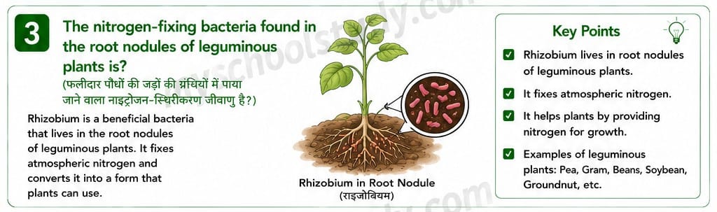 8.14.3 class 8th science ncert myschoolstudy.com