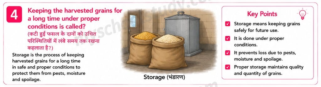 8.14.4 class 8th science ncert myschoolstudy.com