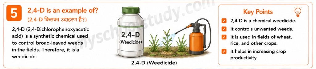 8.14.5 class 8th science ncert myschoolstudy.com