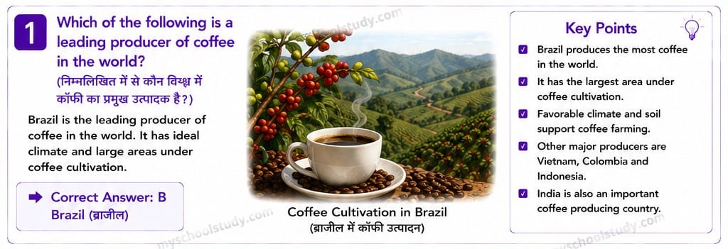 Quiz Class 8th Social Science ncert MCQs 17-05-2026
