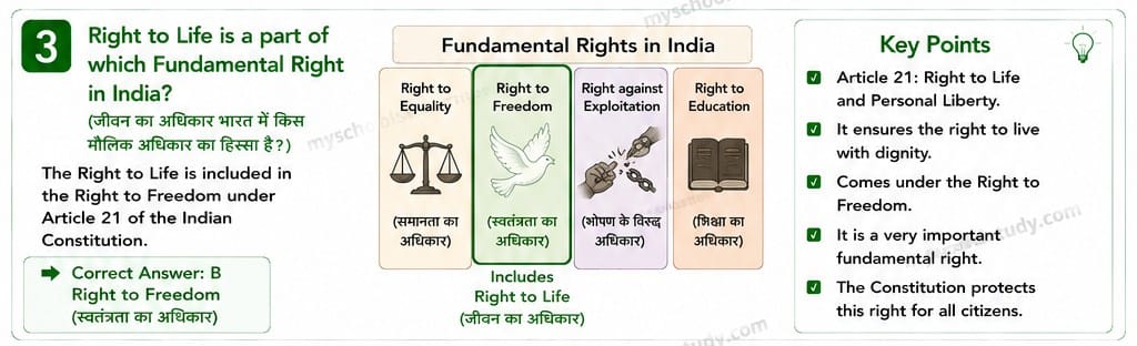 Quiz Class 8th Social Science ncert MCQs 17-05-2026