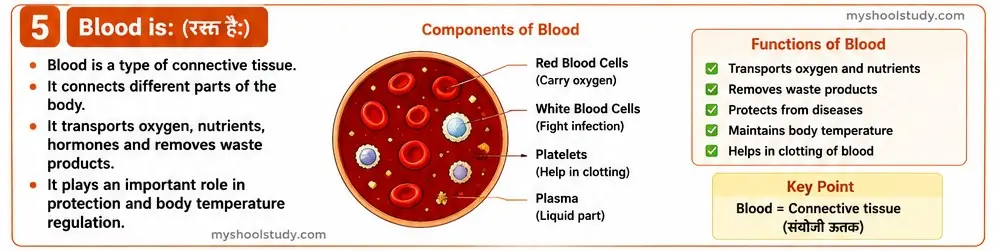 Quiz Class 9th Science 10-05-2026 9.10.5 myschoolstudy.com science class 9th