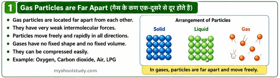 Quiz Class 9th Science 11-05-2026 myschoolstudy.com science