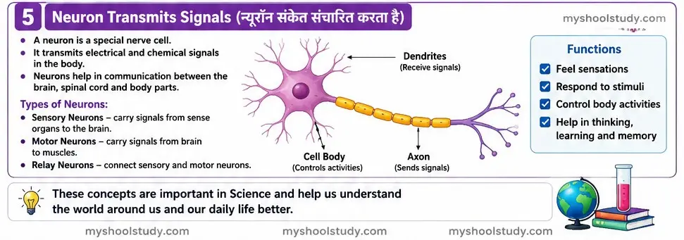 Quiz Class 9th Science 11-05-2026 9.11.5 myschoolstudy.com science