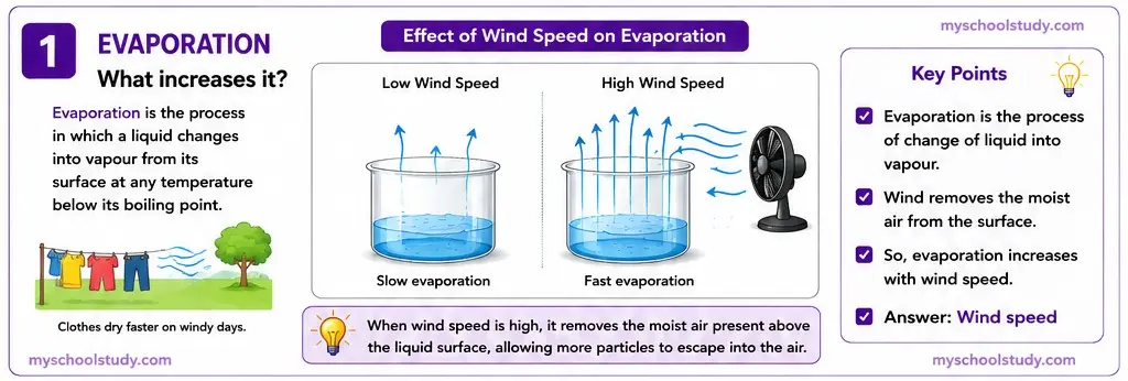 Quiz Class 9th Science 12-05-2026 9.12.1.1 class 9th science ncert mp board myschoolstudy.com