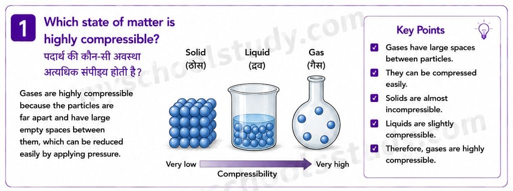 Quiz Class 9th Science 15-05-2026 9.15.1 class 9th science ncert myschoolstudy.com