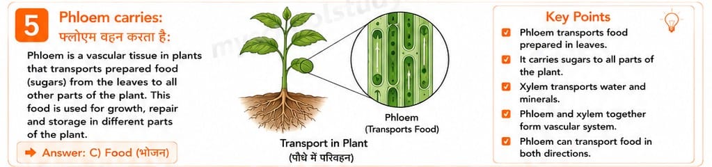 Quiz Class 9th Science 16-05-2026 9.16.5 class 9th science myschoolstudy.com