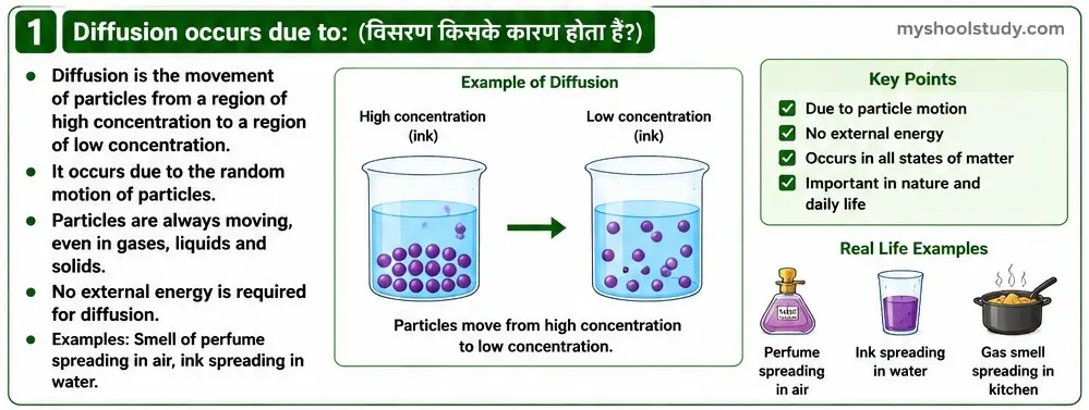 Quiz Class 9th Science 09-05-2026 9.9.1 myschoolstudy.com class 9th science ncert